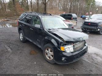 FORD ESCAPE HYBRID