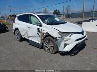 TOYOTA RAV4 HYBRID XLE