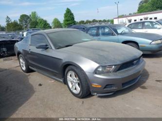 FORD MUSTANG V6