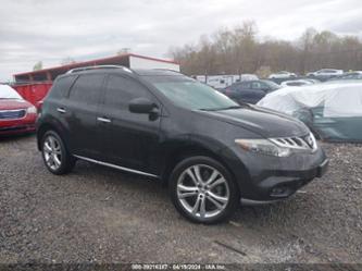 NISSAN MURANO LE