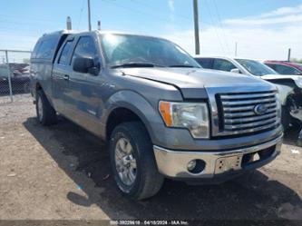 FORD F-150 XLT