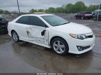 TOYOTA CAMRY SE