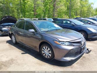 TOYOTA CAMRY HYBRID LE