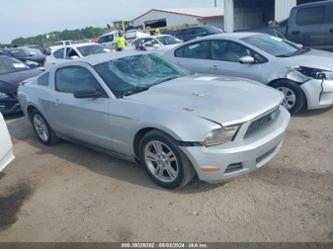 FORD MUSTANG V6