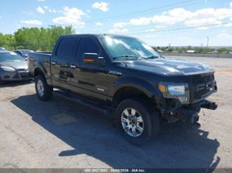 FORD F-150 XLT