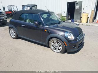 MINI CONVERTIBLE COOPER