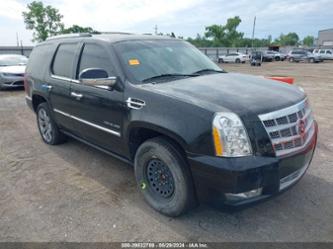 CADILLAC ESCALADE PLATINUM EDITION