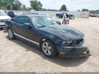 FORD MUSTANG V6