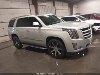 CADILLAC ESCALADE LUXURY COLLECTION