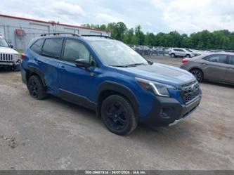 SUBARU FORESTER WILDERNESS