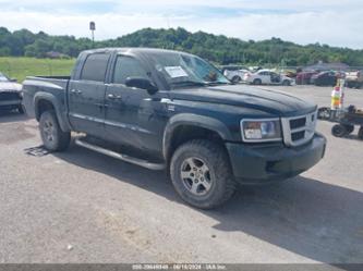 RAM DAKOTA BIGHORN/LONESTAR