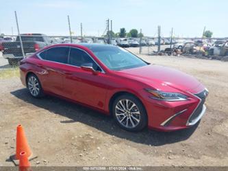 LEXUS ES 350 LUXURY