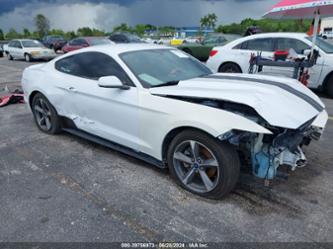 FORD MUSTANG V6