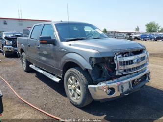 FORD F-150 XLT