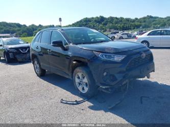 TOYOTA RAV4 HYBRID XLE