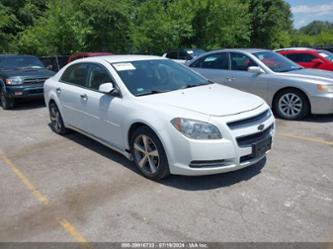 CHEVROLET MALIBU 1LT