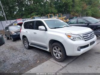 LEXUS GX 460