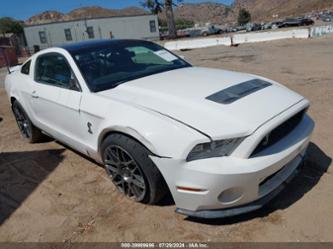 FORD SHELBY GT500