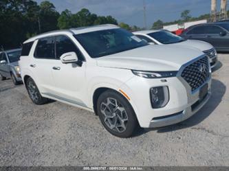 HYUNDAI PALISADE CALLIGRAPHY