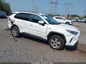 TOYOTA RAV4 HYBRID XLE