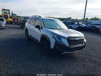 SUBARU FORESTER WILDERNESS