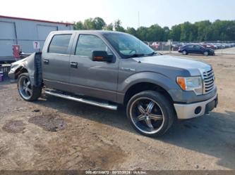 FORD F-150 XLT