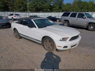 FORD MUSTANG V6/V6 PREMIUM