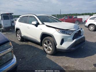 TOYOTA RAV4 HYBRID XLE PREMIUM