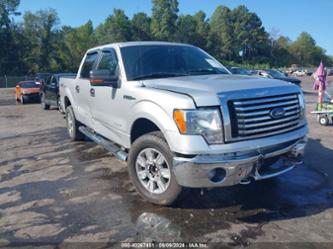 FORD F-150 XLT