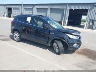 FORD ESCAPE SEL