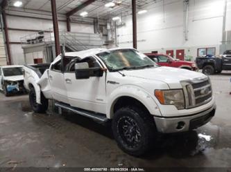 FORD F-150 LARIAT