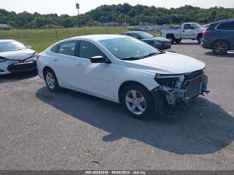 CHEVROLET MALIBU 1LS