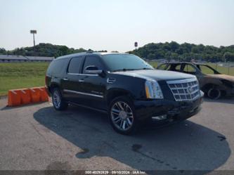 CADILLAC ESCALADE PLATINUM EDITION