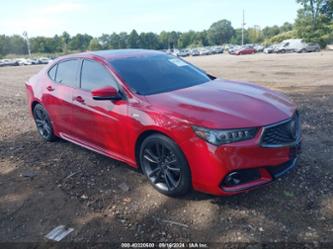 ACURA TLX TECH A-SPEC PKGS