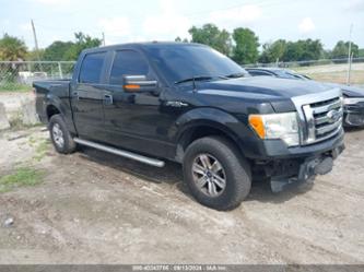 FORD F-150 XLT