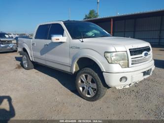 FORD F-150 PLATINUM