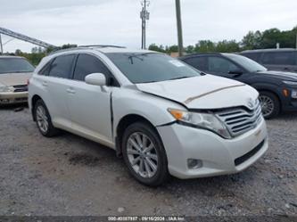 TOYOTA VENZA