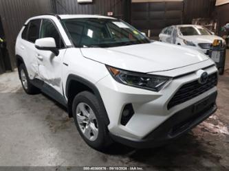 TOYOTA RAV4 HYBRID XLE