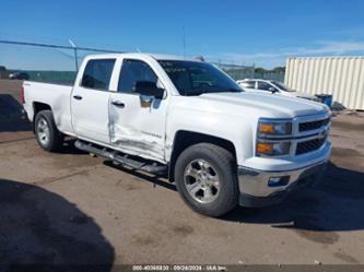 CHEVROLET SILVERADO 1500 1LT