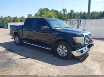 FORD F-150 XLT