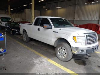 FORD F-150 XLT