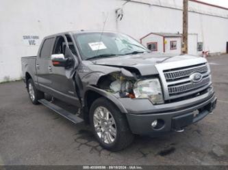 FORD F-150 PLATINUM