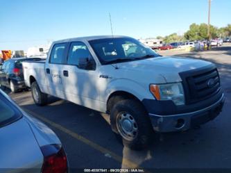 FORD F-150 XL