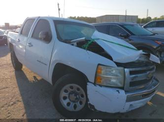 CHEVROLET SILVERADO 1500 WORK TRUCK