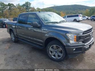 FORD F-150 XLT