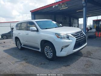 LEXUS GX 460