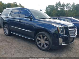 CADILLAC ESCALADE LUXURY