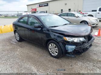 KIA FORTE EX