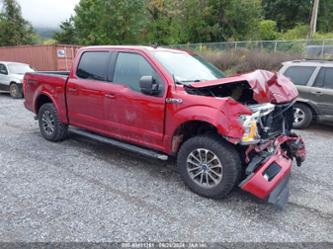 FORD F-150 XLT