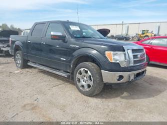 FORD F-150 LARIAT